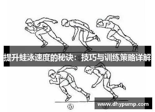 提升蛙泳速度的秘诀：技巧与训练策略详解