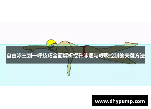 自由泳三划一呼技巧全面解析提升泳速与呼吸控制的关键方法